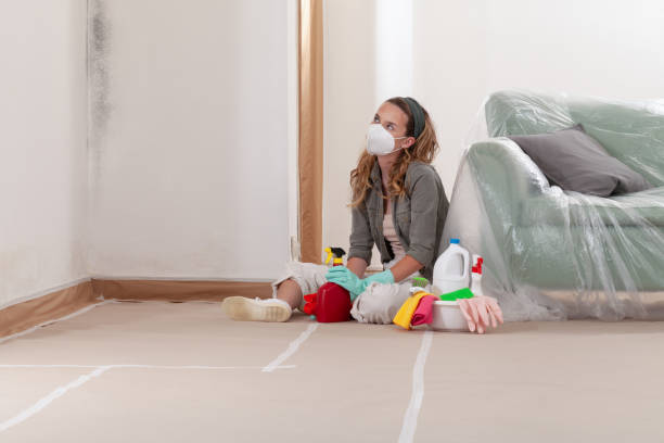 Reliable Black Mold Remediation contractor in Winfield, TN by 24 Hour Mold Removal